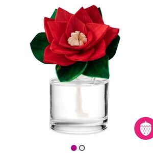 Aloe Water And Cucumber Red Poinsetta Fragrance Oil Flower Difuser